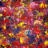 Logo van PASSIE IN BEELD