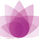 Logo van Centrum Zijnsoriëntatie