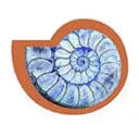 Logo van Carla van der Burg Uitvaartverzorging
