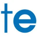 Logo van Theming Engineers