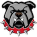 Logo van Spike STINGER
