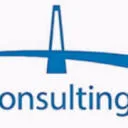 Logo van BridgeConsultingGroup