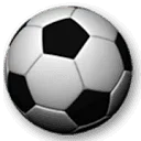 Logo van Dutch Soccer Events