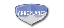 Logo van Boer Organisatie Advies