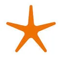 Logo van Stichting Spark to Learn