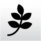 Logo Marc Plaisier Fotografie
