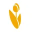 Logo ThinkingDutch