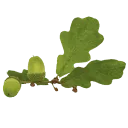 Logo van Plankenland Vloeren AND Zo