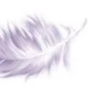 Logo van Claudia Rossen Uitvaartverzorging