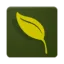 Logo van Willemsen Bloemen Apeldoorn B.V.