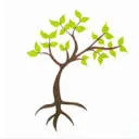 Logo van Natural LifeFlow