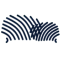 Logo van De Taaltrainer