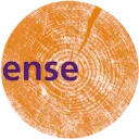 Logo van Essense Training en Advies