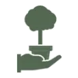 Logo van Kadoboompje.nl