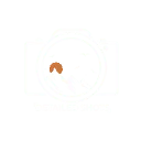 Logo van Detailedshots