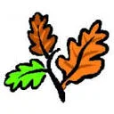 Logo van Boomadviesdiensten Heusden