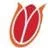 Logo van Rugby Academy Zuid