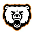 Logo van Bear Attachments