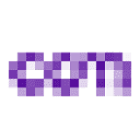 Logo van Digital Systems and Services Netherlands - DSS NL