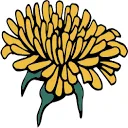 Logo van Dandelion Branding