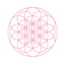 Logo van the flower of life