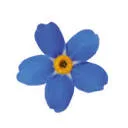 Logo van Dementievriendelijk Brabant