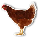 Logo van FarmCamps