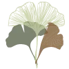 Logo van Natuurlijk Afscheid