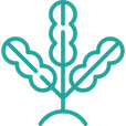 Logo van AlgaeHolland