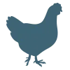 Logo van Drikje Design