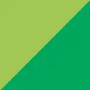Logo van SKILLS vmbo