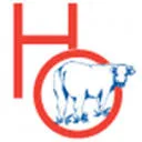 Logo van Hogeslag Olst B.V.