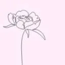 Logo She Blossoms