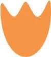 Logo van Baay Dutch Language Courses