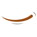 Logo van BDL Uitvaart - Afscheid met een glimlach