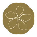 Logo Studio Kwebbel