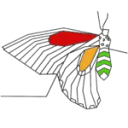 Logo Zen in transition