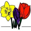 Logo van A.C.M. Smit AND Zn Bloembollenkwekerij