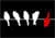 Logo van Dare To Be Different Outdoor B.V.