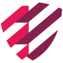 Logo van New Security Vision