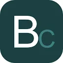 Logo Brusto Consultancy
