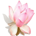 Logo van Zenssage