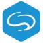 Logo BlueMinds BV