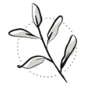 Logo van Green Bubble B.V.