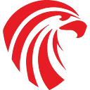Logo van Falcon Heitoezicht