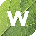 Logo van Witteveen groenprojecten en advies