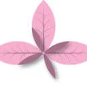 Logo van Karin van der Molen Uitvaartverzorging