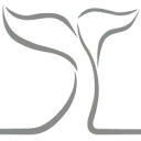 Logo van White Whale Yachtbrokers