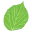 Logo van Stadsbomen Tilburg