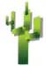 Logo van Cactus Accounting Services N.V.